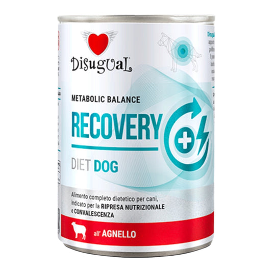 Disugual Vet Diet Recovery para Perros — Comida Húmeda 100% cordero