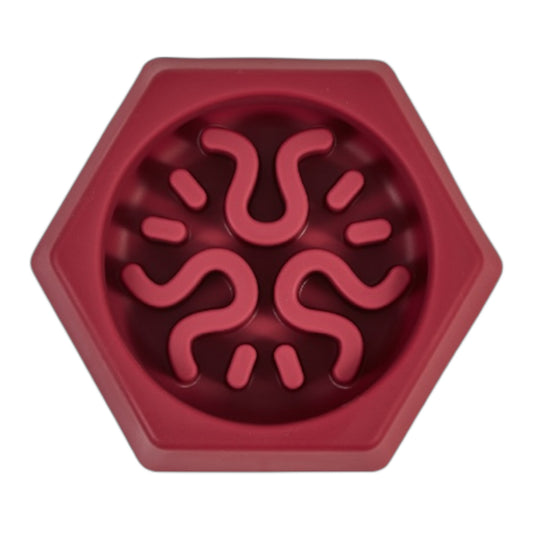 Comedero Slow Fringe