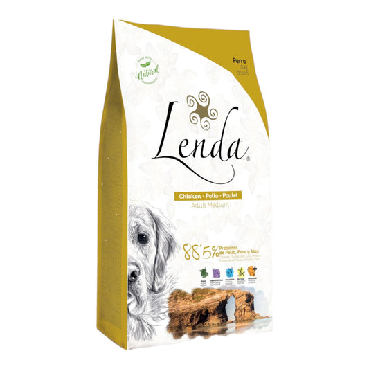 Lenda Pollo adulto