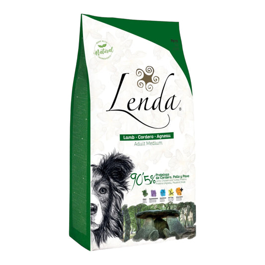 Lenda cordero Adulto