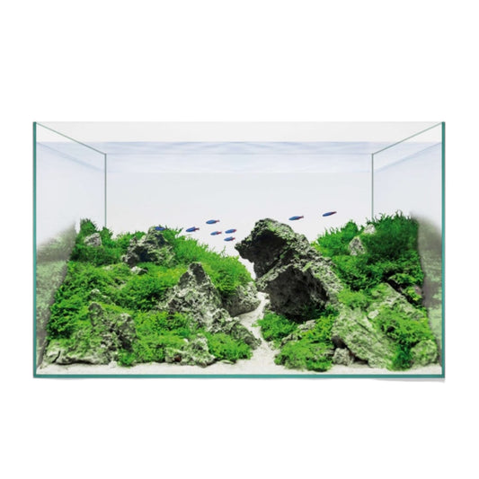 Kit Acuario Aquascape Basic