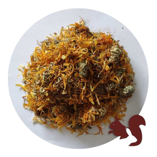 Herre Flores de Calendula