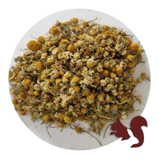 Herre Flores de Manzanilla