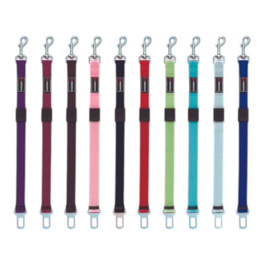 Freedog Cinturón de Seguridad