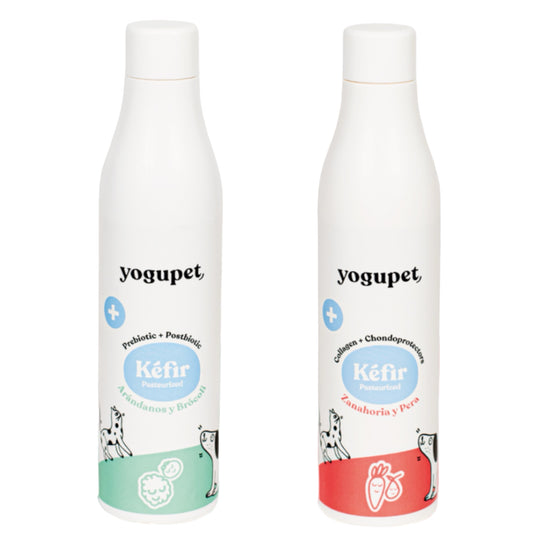 Kéfir Yogupet