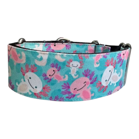 Gosk Collar Martingale Axolot — Collar Antiescape para Perros