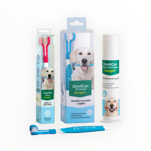 Dentican Kit Cepillo y Pasta