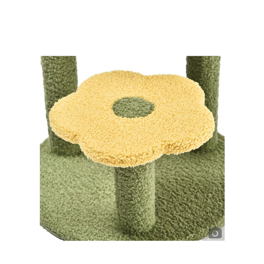 Rascador palm my Garden