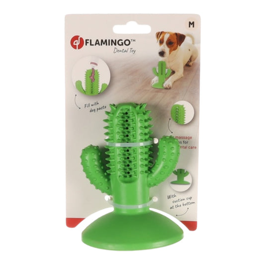 Cactus juguete dental