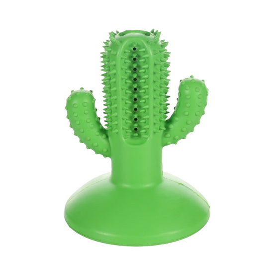 Cactus juguete dental