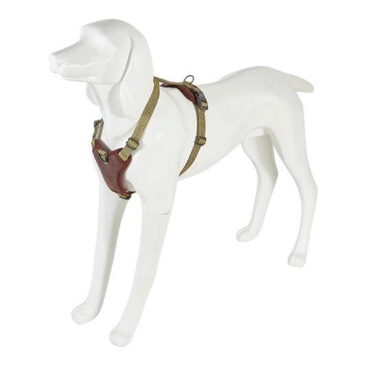 Freedog Arnes Linum Green Forest Para Perros