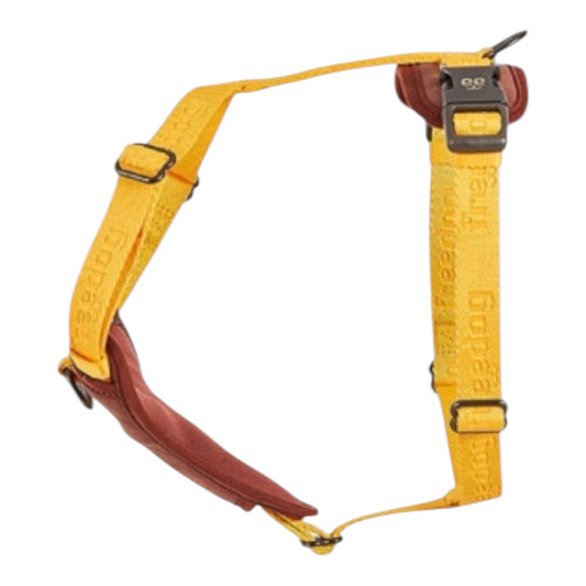 Freedog Arnes Linum Yellow Sunrise Para Perros