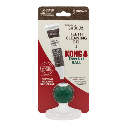 KONG dental kit