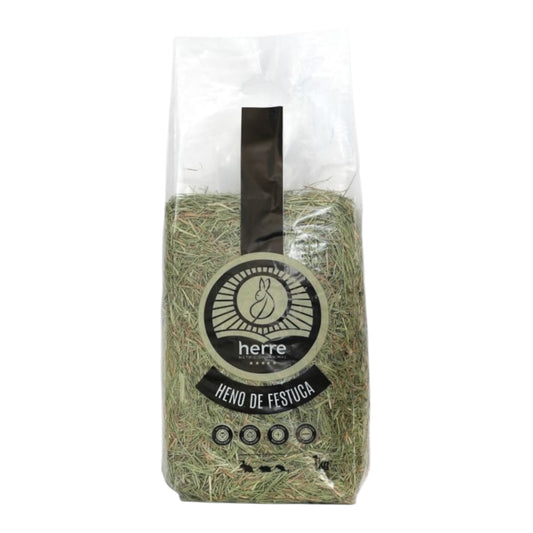 Herre heno de festuca