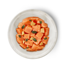 Terra Felis Salmón 80g para Gatos — Alimento Completo 90% Carne Fresca