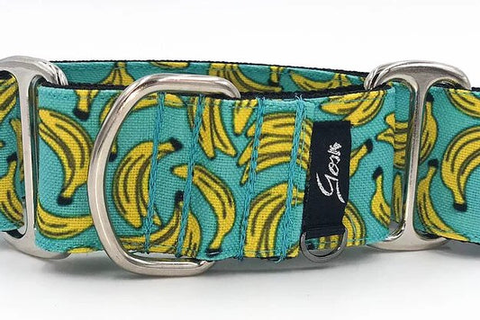 Gosk Collar Martingale Blue Banana — Collar Antiescape para Perros