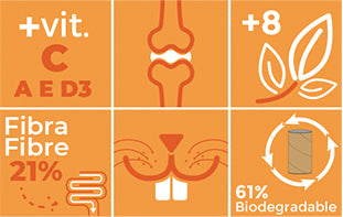 Miniorycs cobaya adult