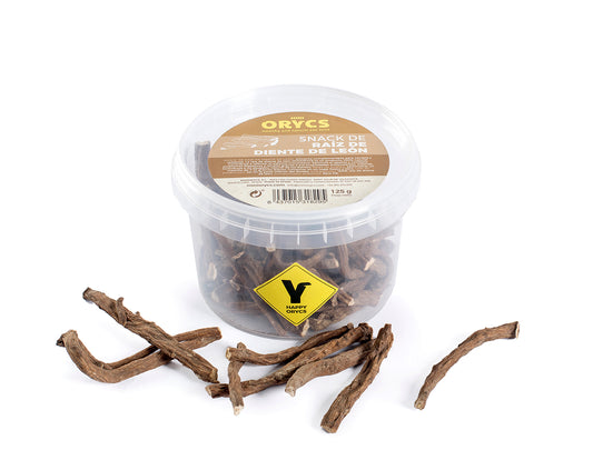 Miniorycs raiz diente de leon