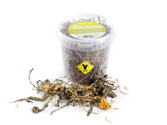 Miniorycs snack diente de leon