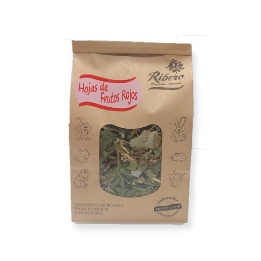 Ribero hojas de frutos rojos