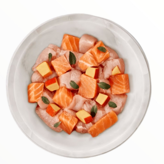Terra Felis Salmón y Pollo 80g para Gatos — Dos Proteínas Alimento Completo