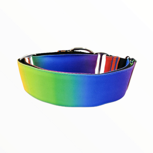 Gosk Collar Martingale Rainbow — Collar Antiescape para Perros