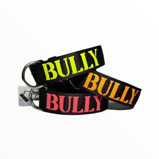 Collar Bordado BULLY