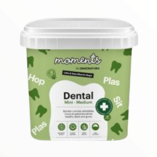 Moments Barritas Dental Mini