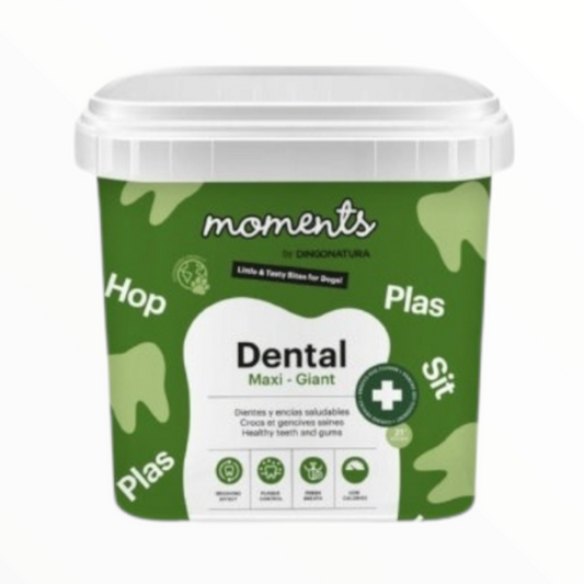 Moments Barritas Dental Maxi