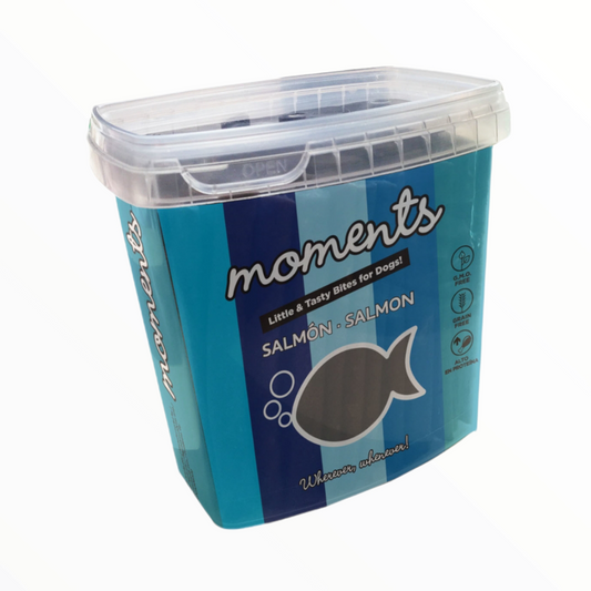 Moments Barritas Salmon