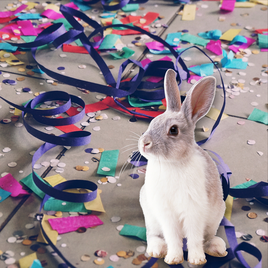 Caja regalo para conejos
