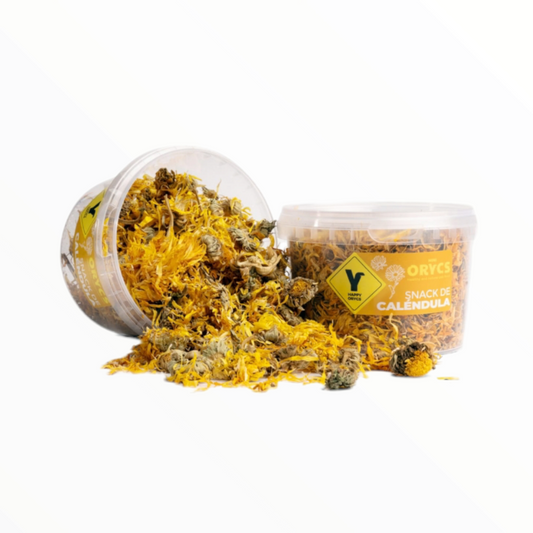 Miniorycs snack calendula