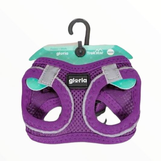 Arnes Air Mesh star gloria
