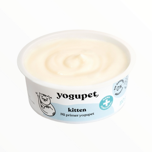 Yogupet kitten gatitos