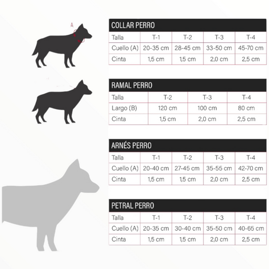 Arnes bull aqua reflect