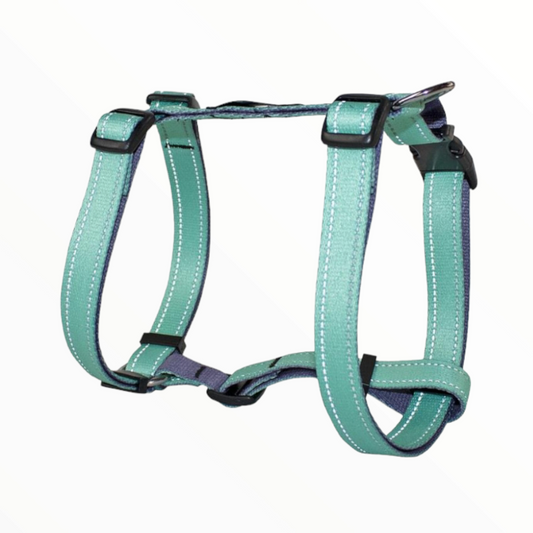 Arnes bull aqua reflect