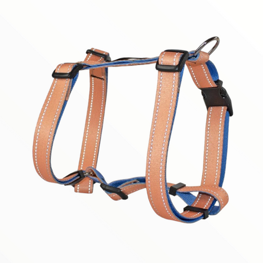 Arnes bull orange reflect