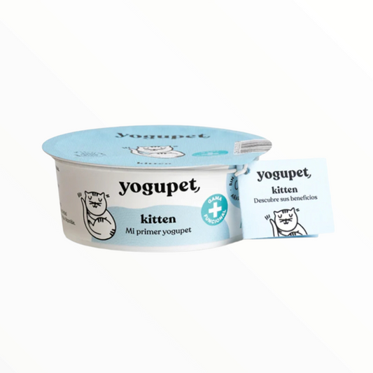 Yogupet kitten gatitos
