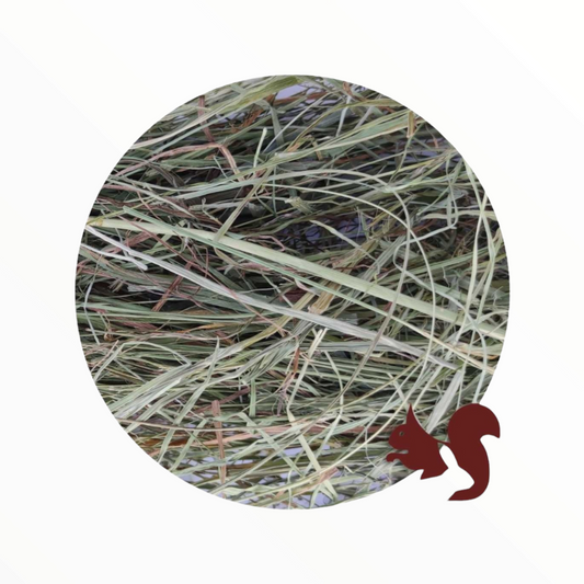 Herre Heno de Algoia Ecologico