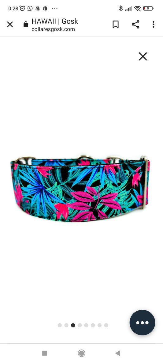 Gosk Collar Martingale Hawai 2 — Collar Antiescape para Perros