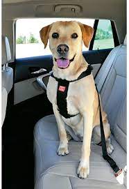 Arnes y Adaptador coche Zolux