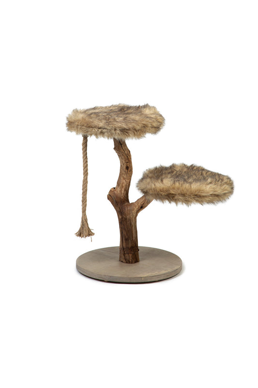 Rascador Designed By Lotte Arbol Aviva