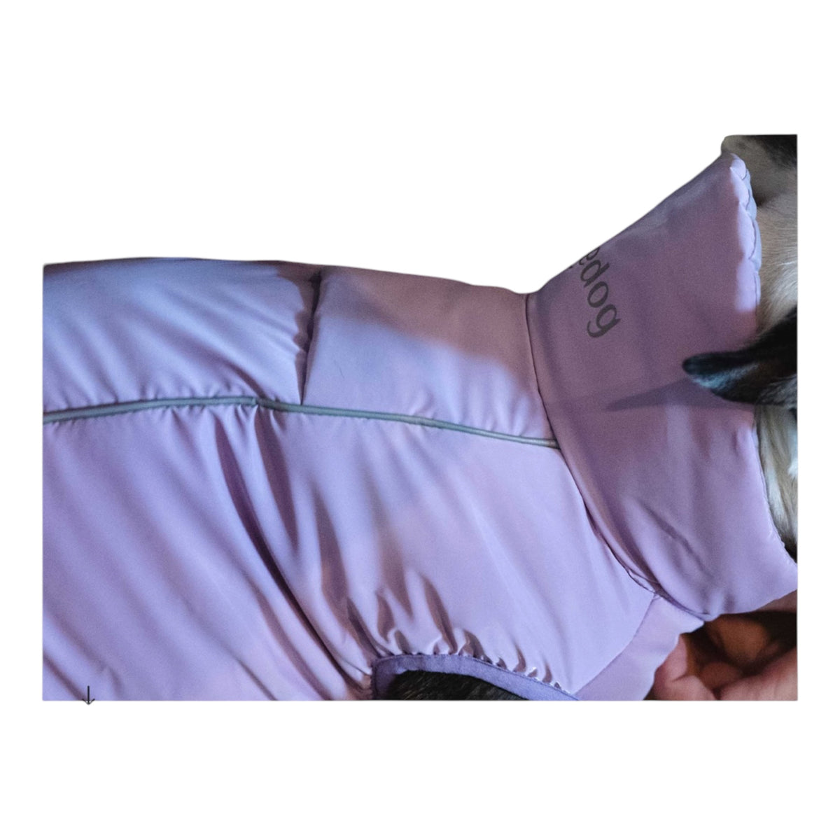 Abrigo impermeable WinterHug para perro, tercera vista