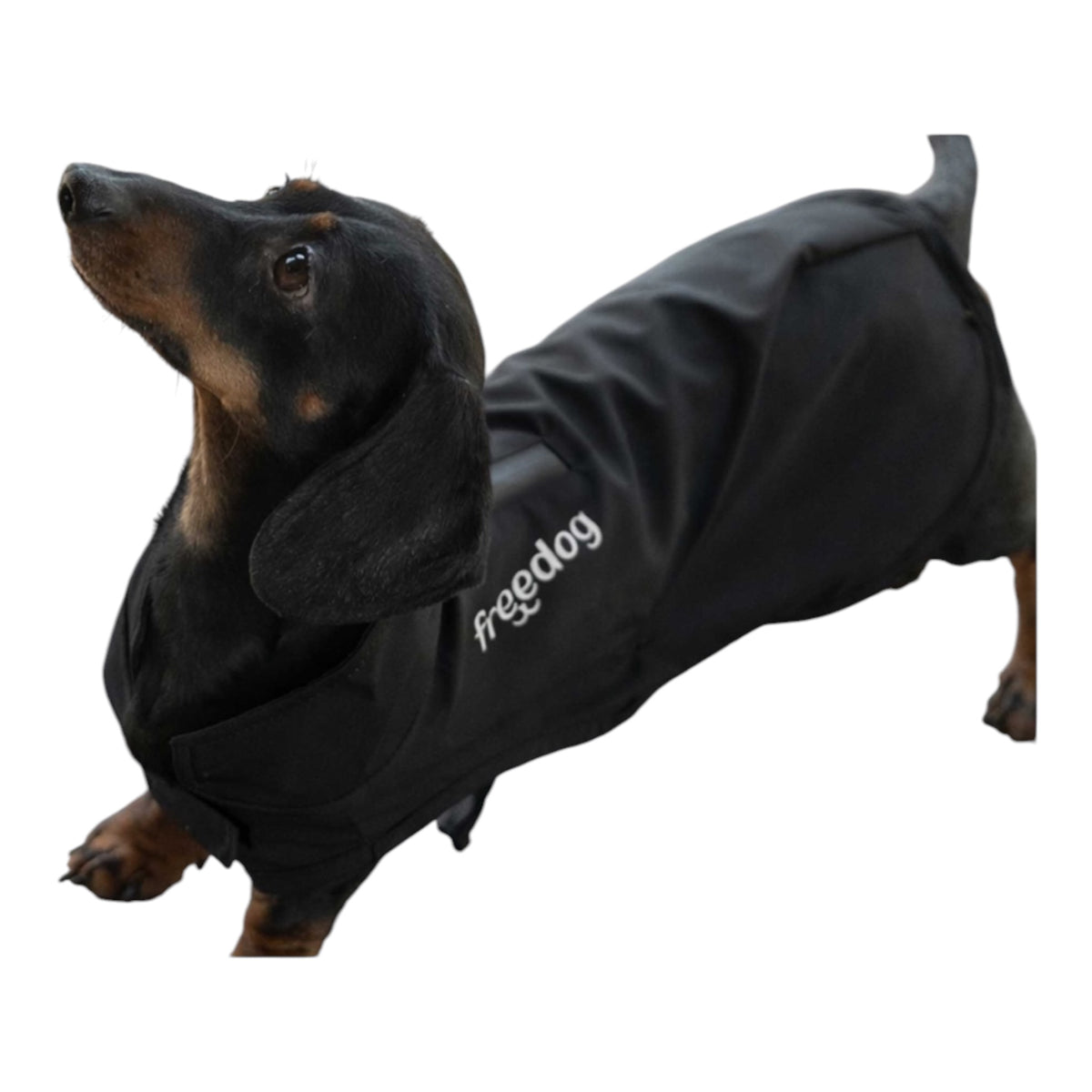 Chubasquero impermeable ligero Aquadash negro Freedog - detalle
