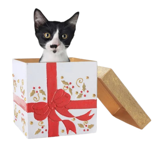 Caja regalo para gatos