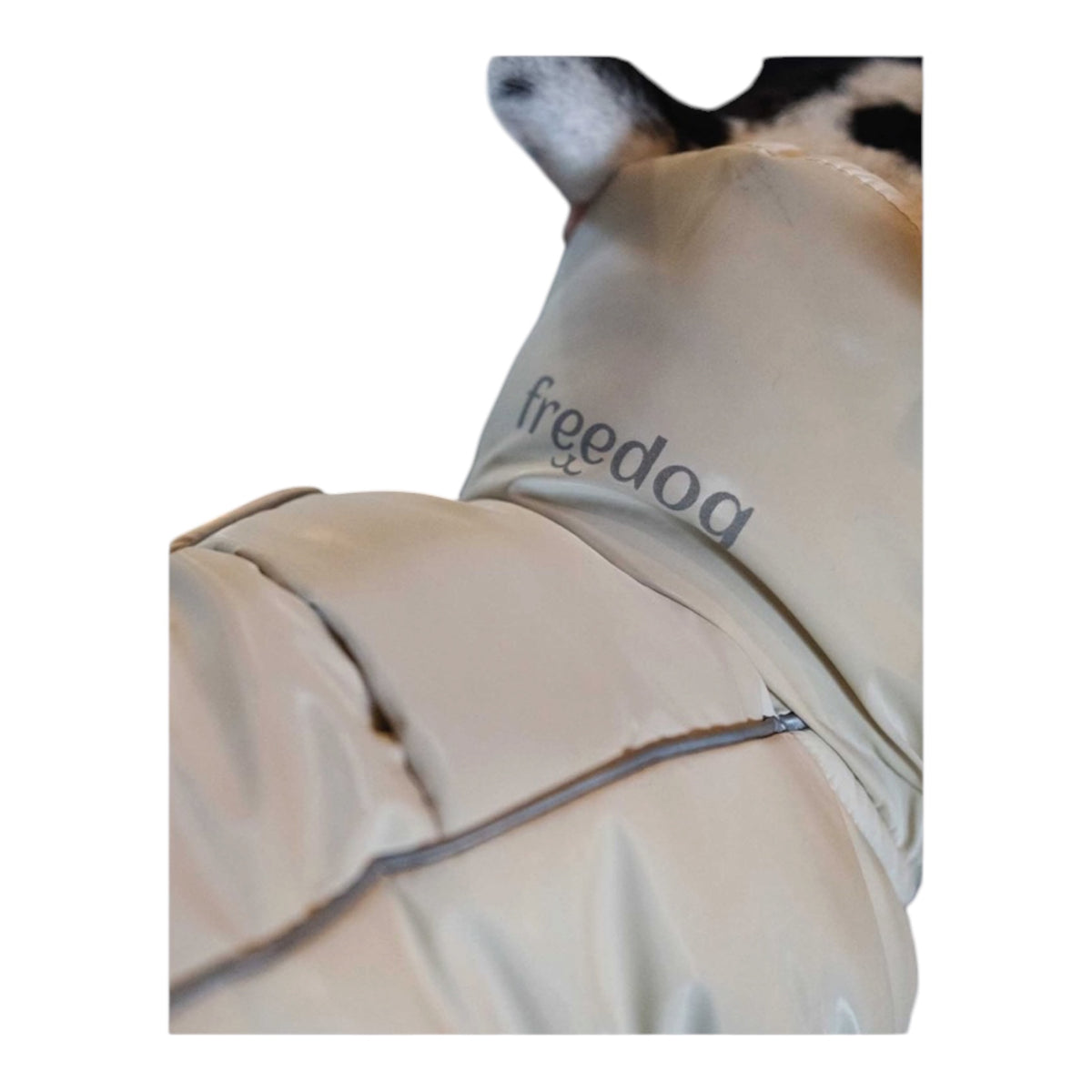 Abrigo WinterHug beige para perro, detalle del acolchado interior