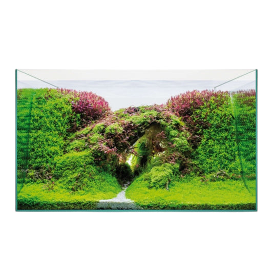 Kit Acuario Aquascape Basic