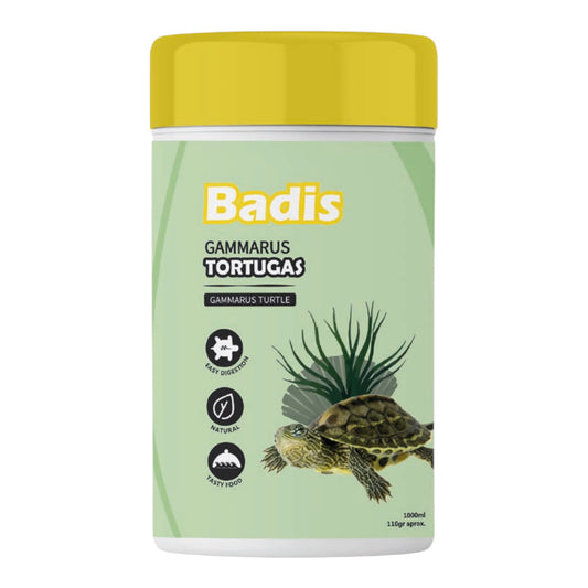 Badis gammarus