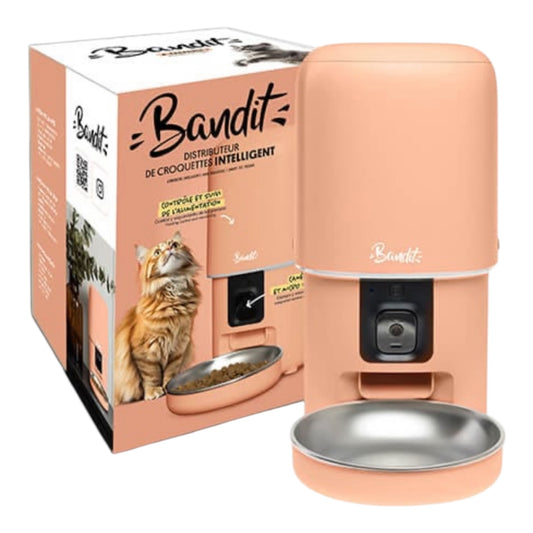 Comedero inteligente Bandit