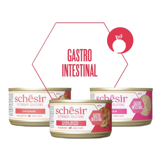 Schesir Cat Vet Gastrointestinal Trial Pack 3x80gr para Gatos